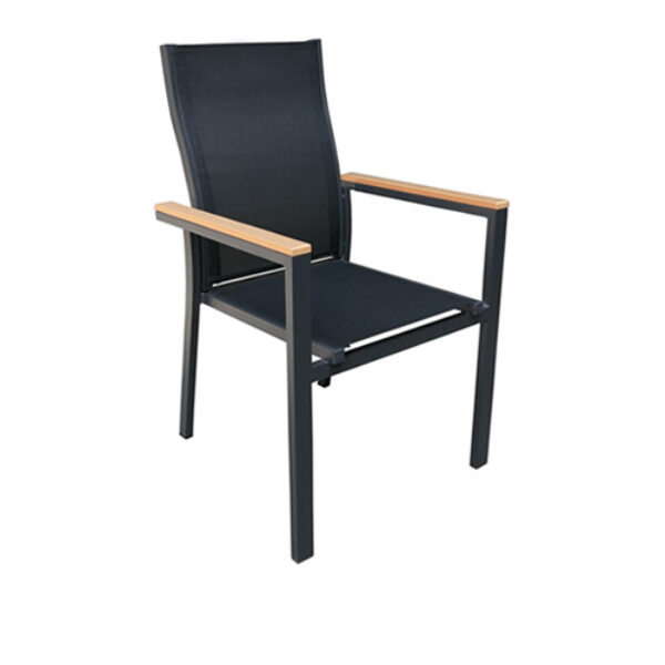 Πολυθρόνα BIANCA 5352 G - Black